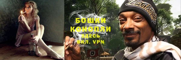 шишки Алексин