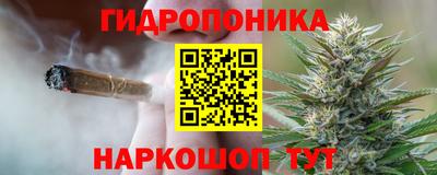 Альфа ПВП Канаш