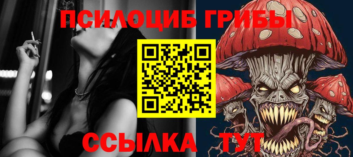 Псилоцибиновые грибы Psilocybe  Псилоцибиновые грибы Psilocybine cubensis  Новочебоксарск  Вход с VPN 