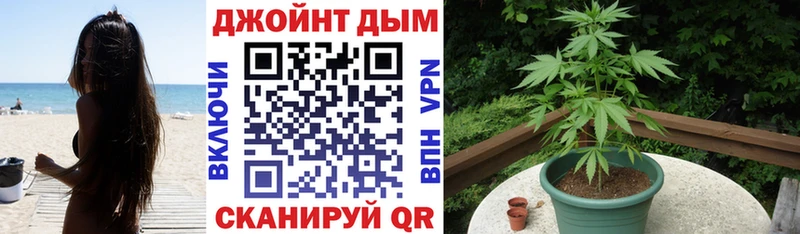Шишки марихуана ГИДРОПОН  где продают   Новочебоксарск 